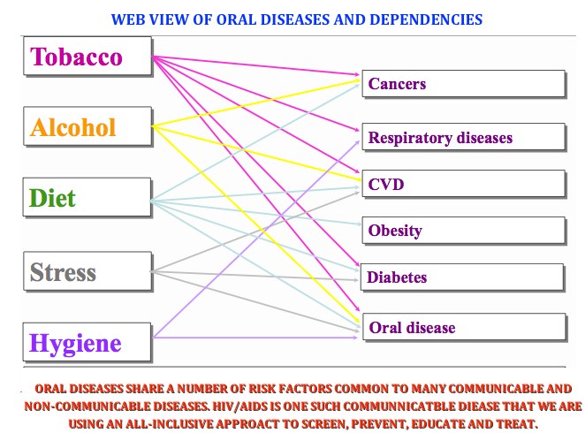 dentalweb