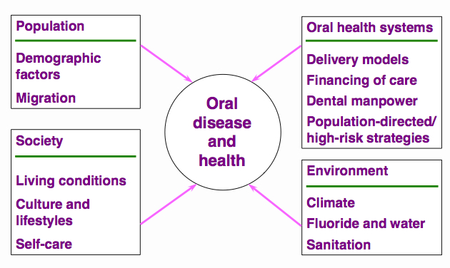 oral